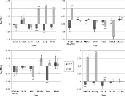 New Data on Human Macrophages Polarization by Hymenolepis diminuta Tapeworm—An In Vitro Study